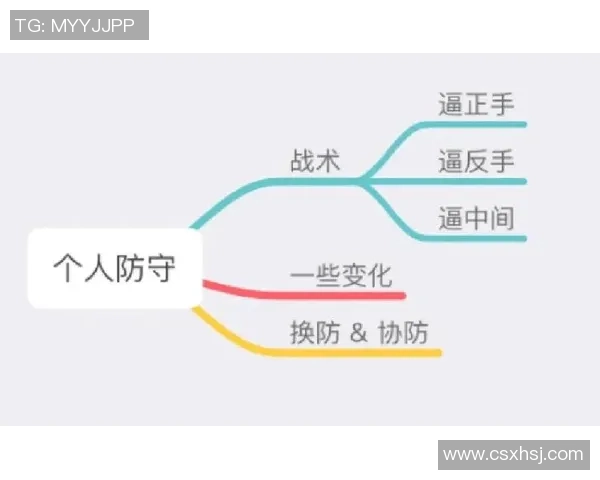 深圳飞盘队区域防守策略创新探索与实践分析